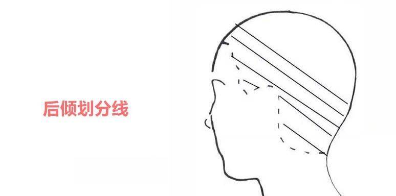 发型师必修课,发型基础理论知识,发型的科学分区