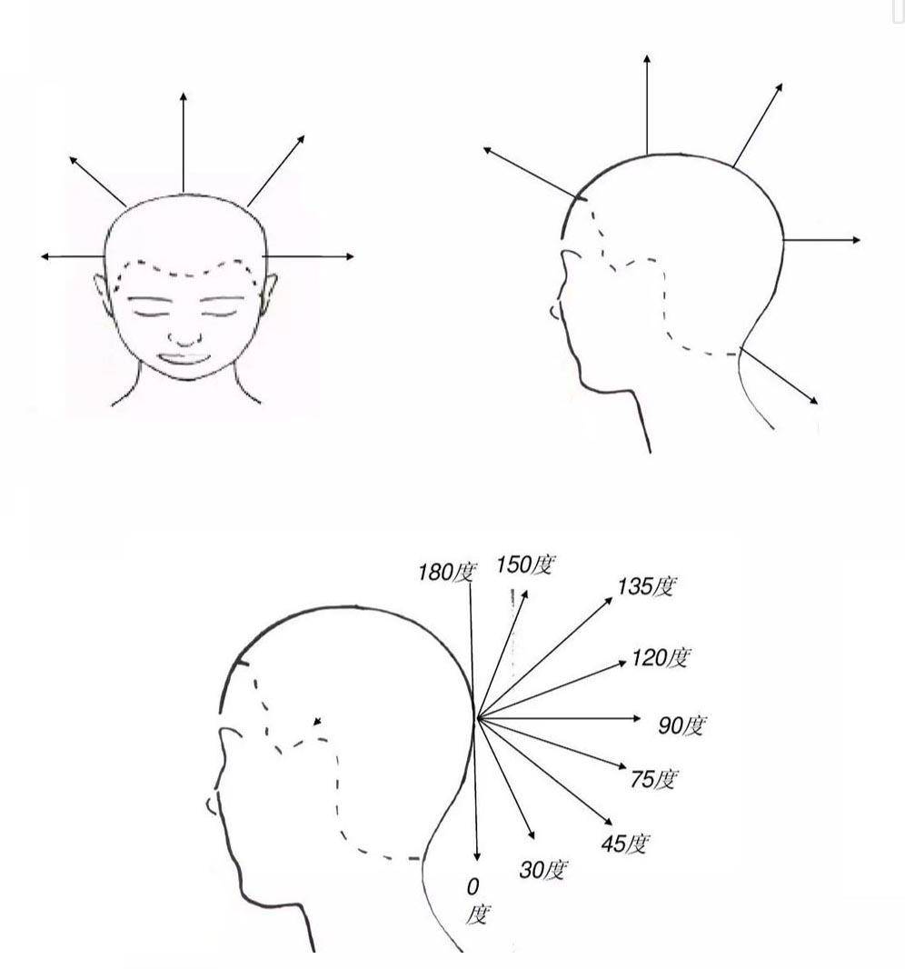 发型师必修课,发型基础理论知识,发型的科学分区