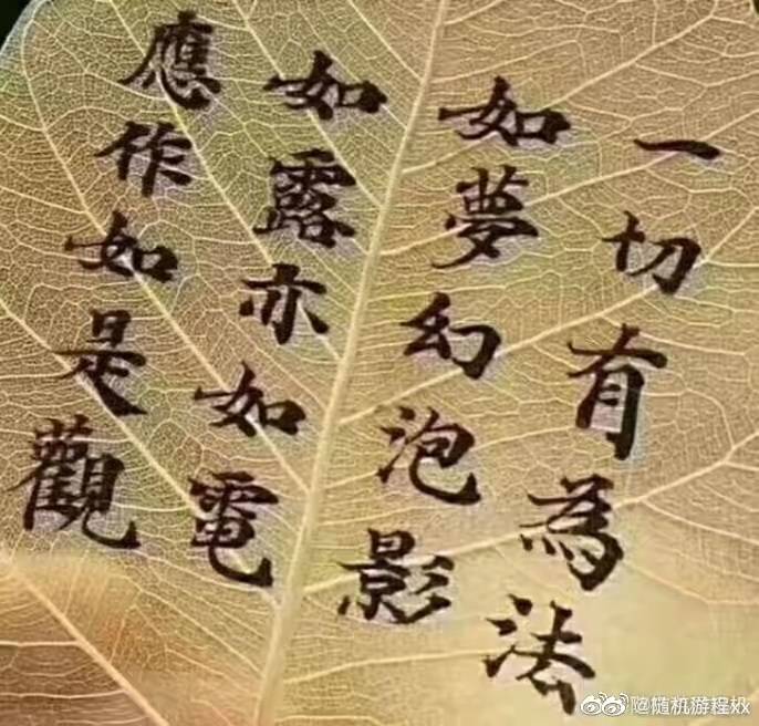 思考禅定修行的"找不到"原因?