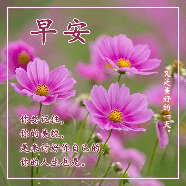 早晨温馨表情精选 每日签到早安问候语句子,元气满满的早安图片
