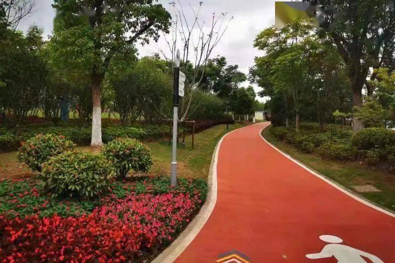 上海森兰绿洲公园运动健身场地水性塑胶跑道均为苏州大乘承建