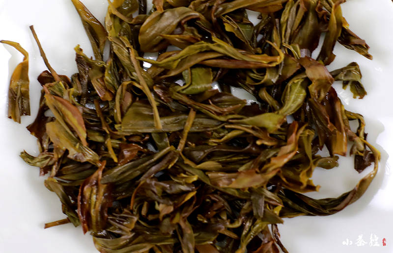 乌龙名茶:凤凰单丛"鸭屎香"奇香四溢
