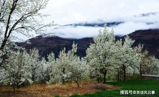 原创盘点全国最美春景,林芝花开成海,九寨沟美成天堂,故宫穿越了!