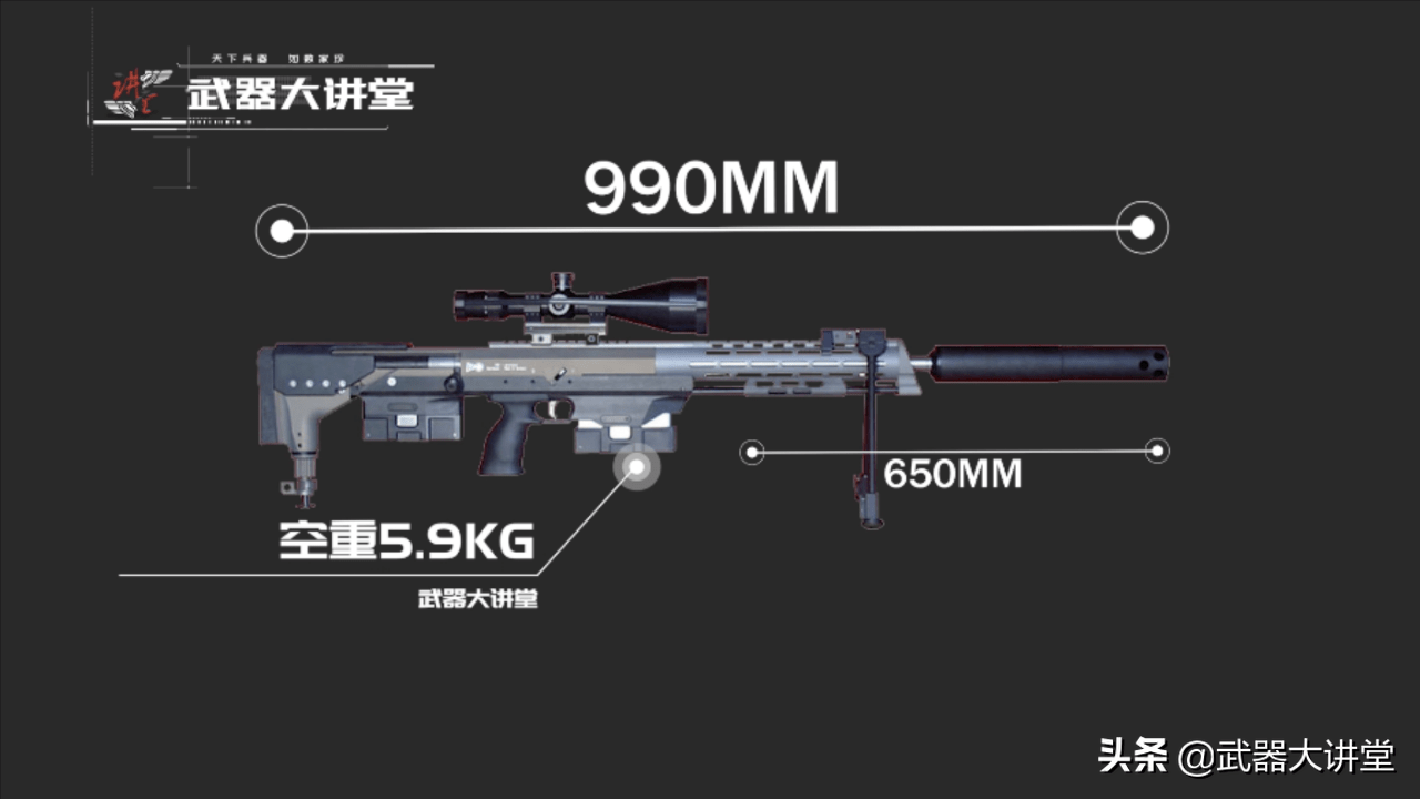 无托狙击步枪的代表详解德国dsr1狙击步枪精度惊人