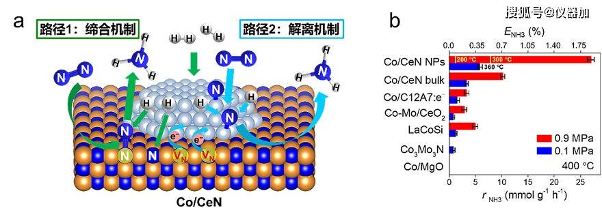 解离和缔合双反应机制助力co基催化剂高效合成氨