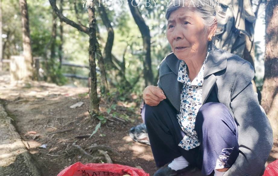 原创张家界70岁老奶奶每天背水果上山卖,新鲜又便宜,韩国人特别喜欢