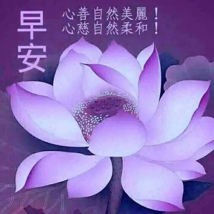 2021年不用打字就可以聊天的早上好问候语图片 创意好看的问候语图片