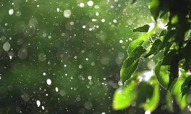 掌握这几点,雨天也可以拍出漂亮唯美的照片_背景