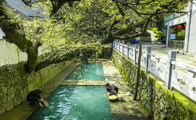 浙江宁波慈溪旅游-有哪些景点值得去?怎么玩省心?