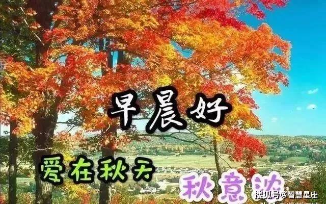 8张漂亮秋天风景早上好图片带字带祝福语 免打字聊天的早安问候祝福语