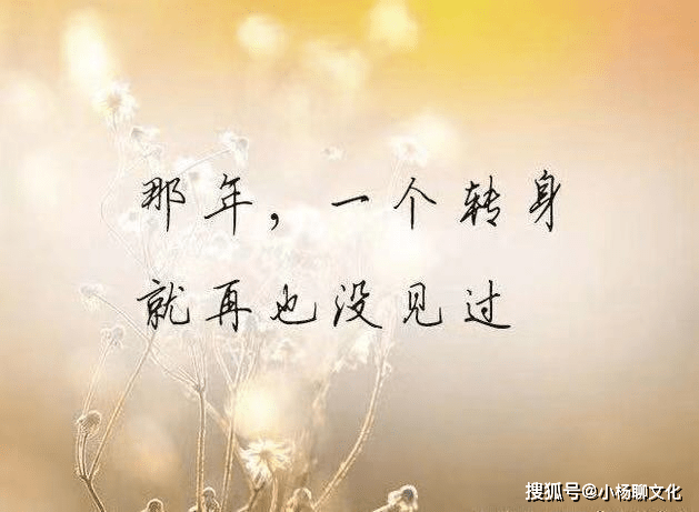心情低落无奈的短句子,句句伤感,哪一句说中你的心事