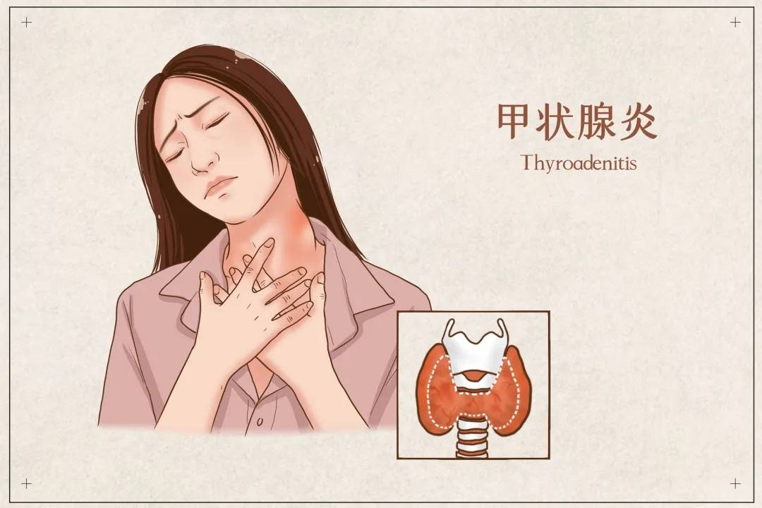 怀孕为什么要查甲状腺功能