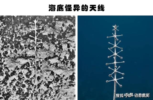 神秘发现:因为太过于先进,被怀疑远非人为造物的5件事
