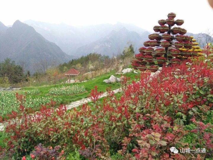 九重山国家森林公园位于重庆城口县庙坝镇境内,偎依在大巴山脉南麓