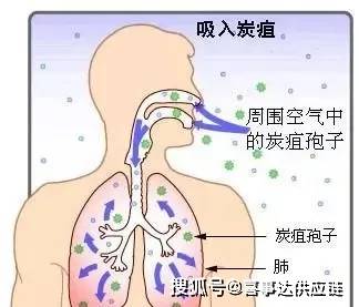 肺部仅闻及散在的细湿啰音,或有脑膜炎体征.