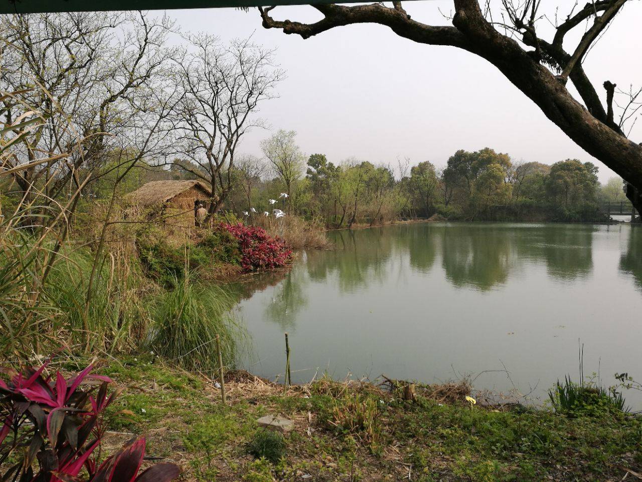 浙江一处国际重要湿地风景区,是首个5a级景区的国家湿地公园