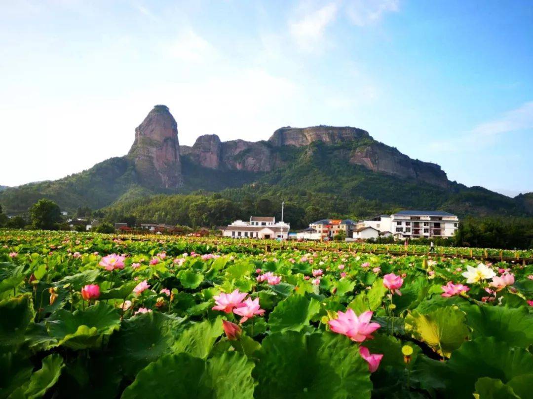 小编对其进行简要的介绍,像是景区的地理位置,内部景点和景区特色等