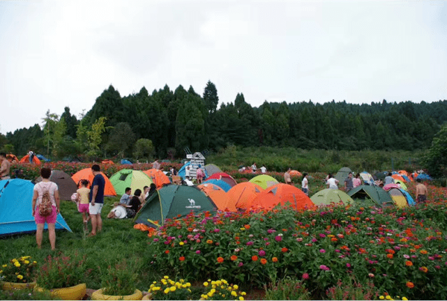 德阳中国香山·矮人王国震撼来袭!国庆花海旅游节!