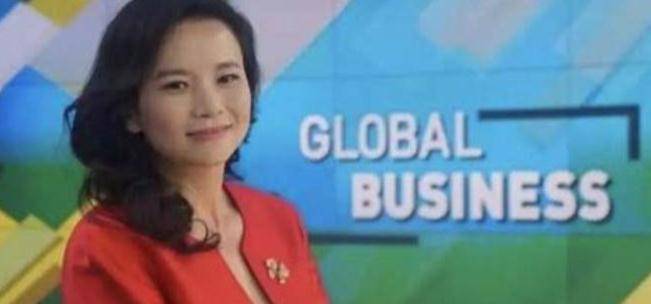 间谍主持人成蕾,曾经为帮澳美对付中国,潜藏二十年终于被捕