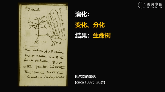 下图是达尔文在1837年所做的笔记,我认为这时他已经意识到了生物的