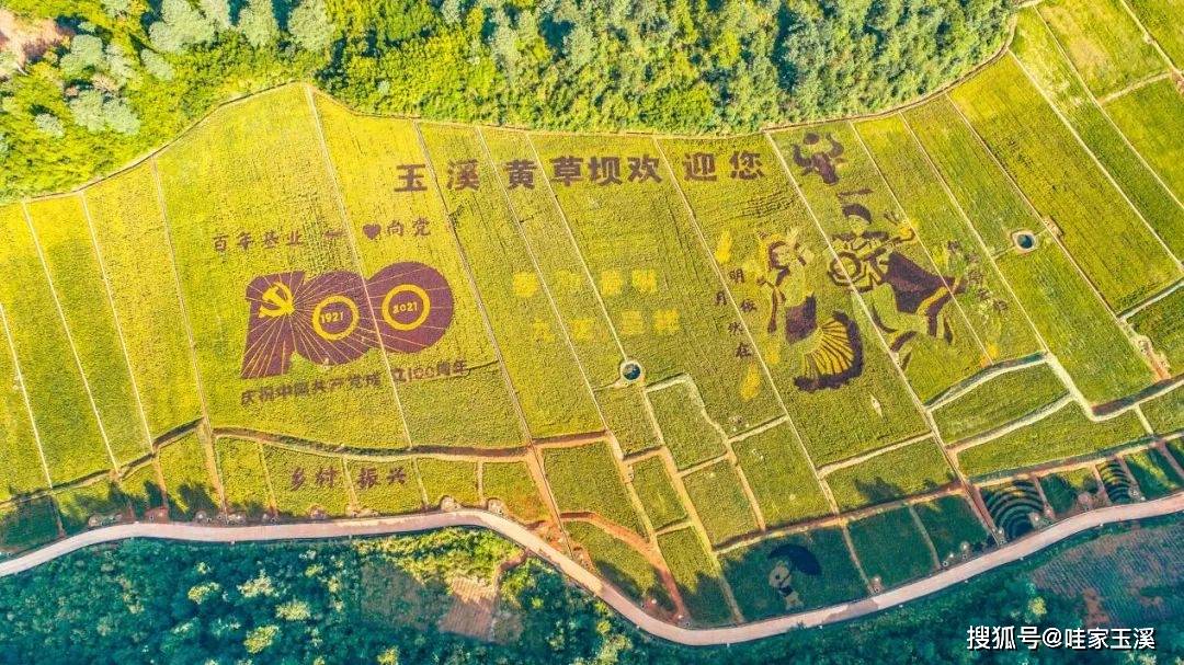 国庆最爱去玉溪丨当田园遇上咖啡,红塔区黄草坝新玩法