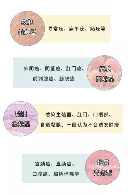 hpv也分不同等级