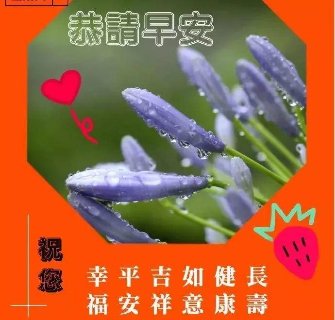 2021最新漂亮秋季问候动画图片带字 天凉了早上好祝福