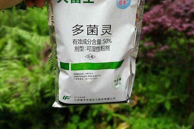 多菌灵,吡虫啉,磷酸二氢钾,用法对了,效果好10倍