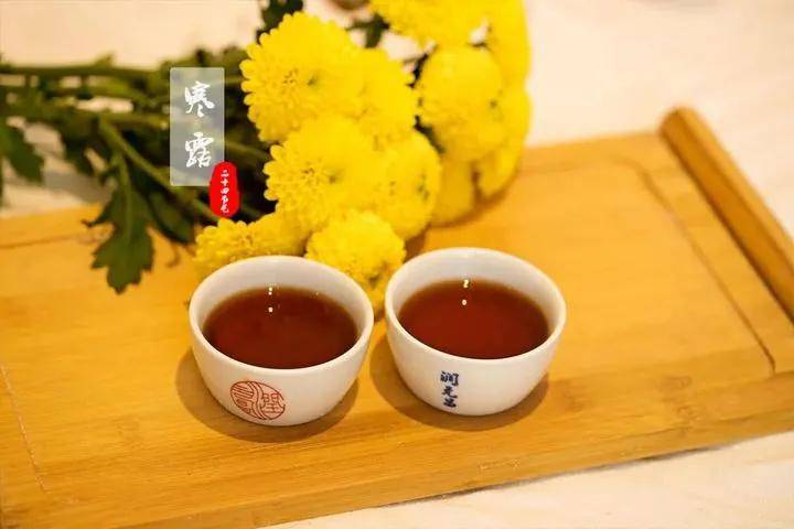 今日寒露天渐凉露渐重人静敛