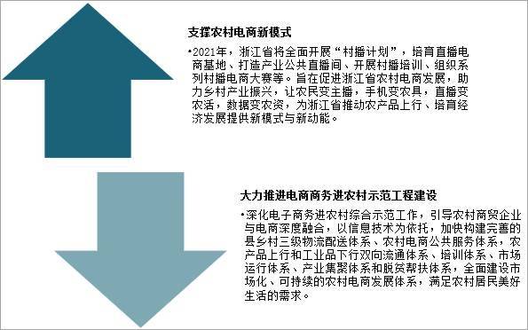 2020年浙江省农村电商行业发展现状发展问题及发展前景分析图