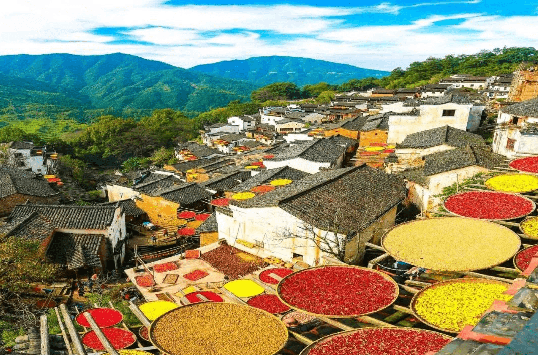 婺源的秋在察关村的青石板路上