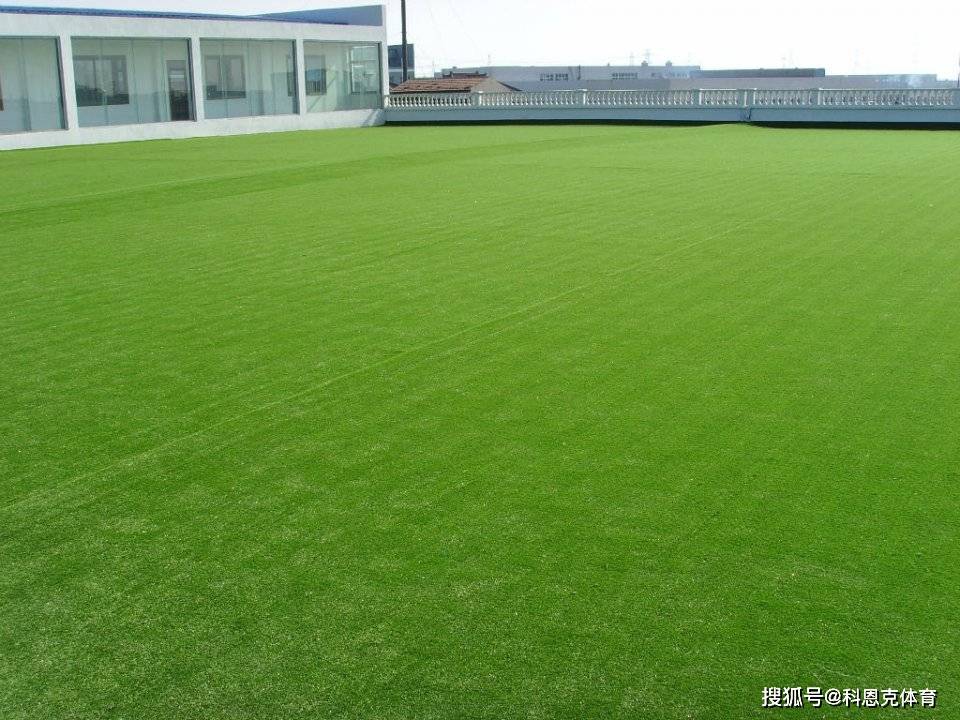 如何在家diy人造草坪?_边缘