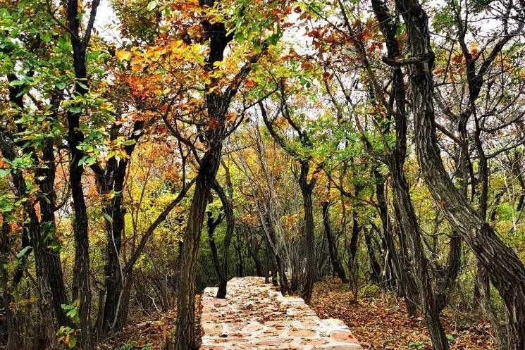 九九重阳,一起来仙门山登高望远,赏秋景,赢大奖!