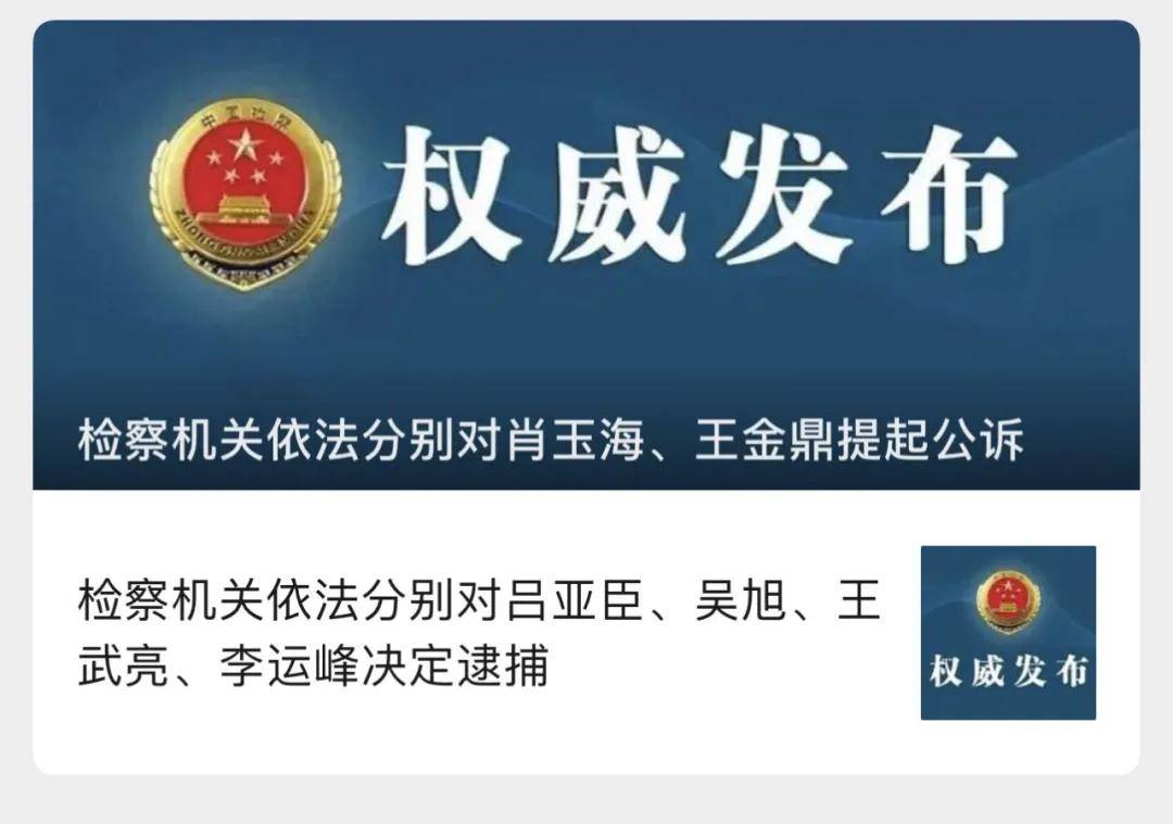 董事长王武亮(副厅级)涉嫌受贿,巨额财产来源不明一案,由湖南省监察