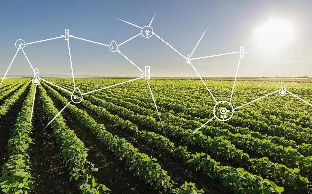 赋智慧,兴农业——新一代智慧农业技术应用展望