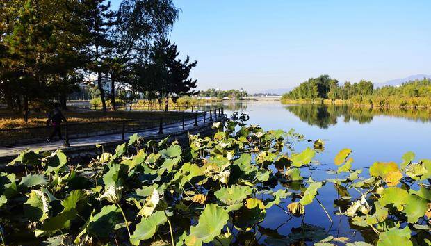 北京胜水:妫河与莲花池的美丽传说_莲花池公园