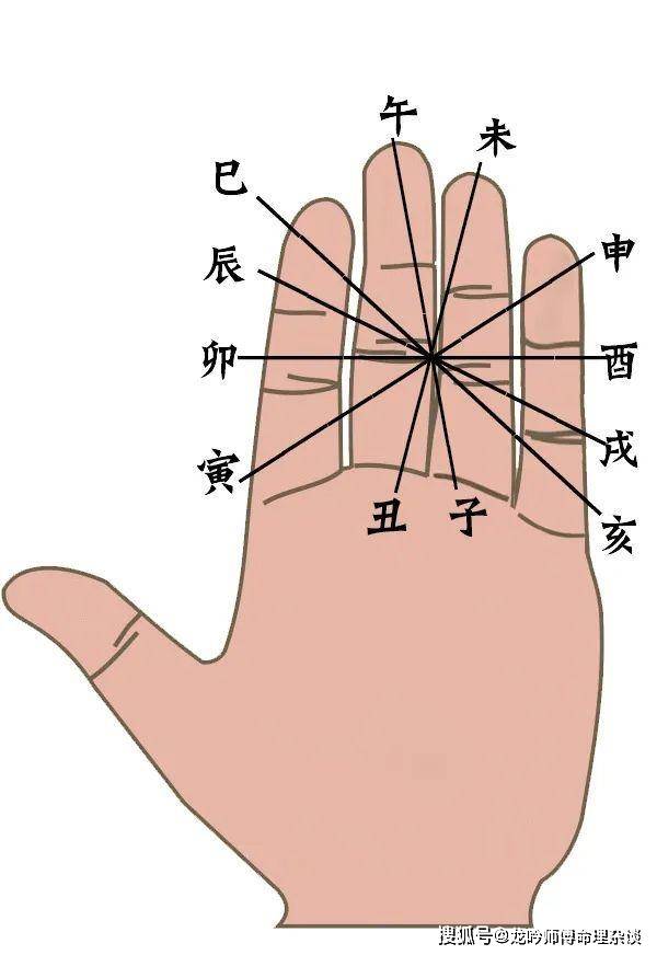 初学易时常用的六种地支掌诀_手指