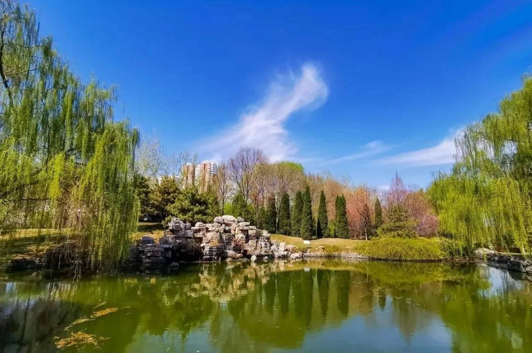 华北电力大学超高就业率背后的原因是什么呢?一起看看吧!_能源