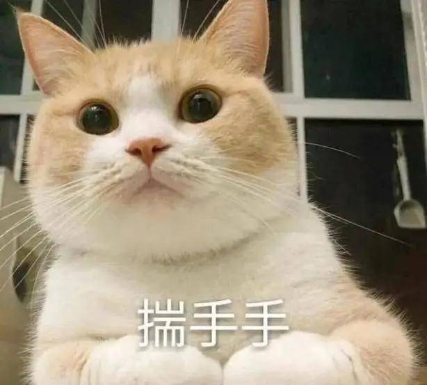 小猫咪的"农民揣"是为了卖萌?真不是