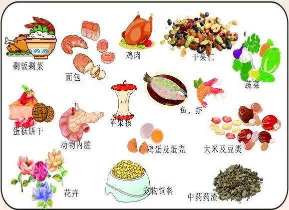 哪些垃圾可以丢进厨余垃圾处理设备_残留