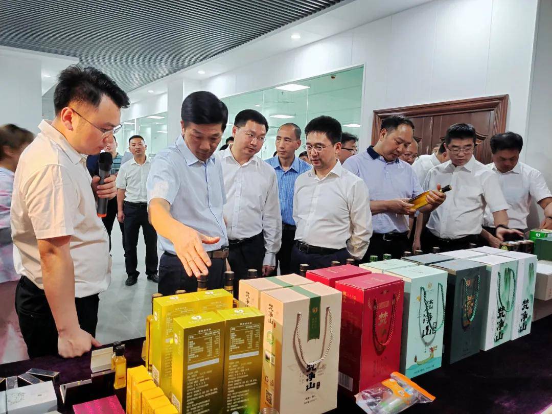 贵州省常务副省长李再勇率队调研贵州山茶产业综合开发有限公司