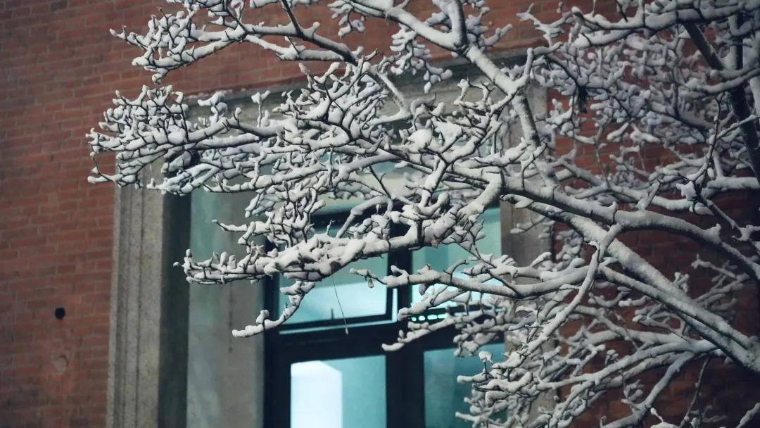 80张绝美雪景图,带你看遍各个大学2021年的第一场雪,真是美爆了