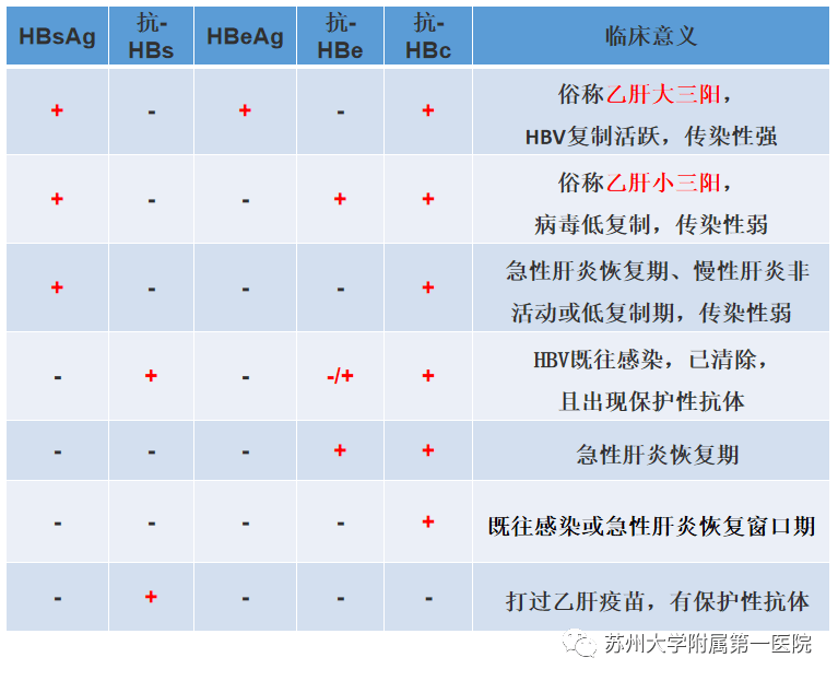 读懂"乙肝两对半"报告单,你还需要知道这些