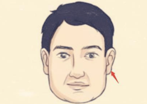 在面相里讲究"天庭饱满地阁方圆",也就是额头饱满下巴方正棱角圆润,不