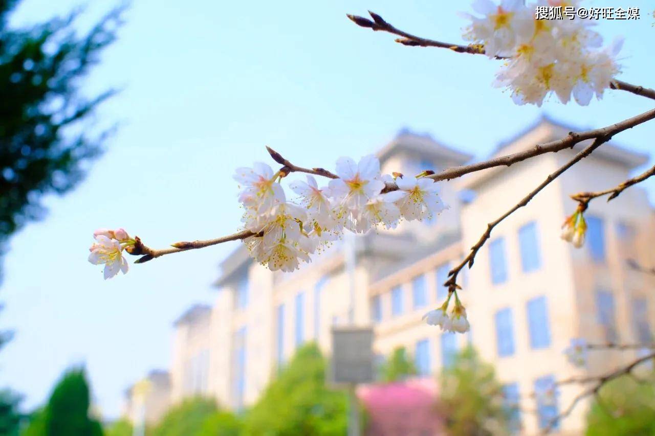 寻找最美校园·走进陕西师范大学_建设