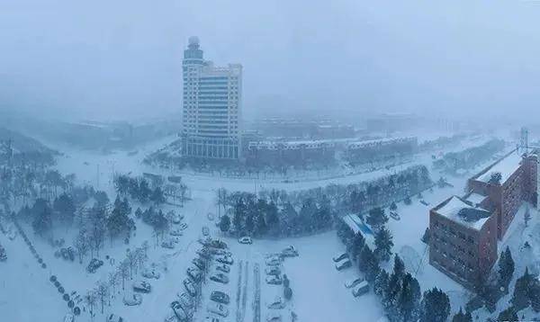 王玮璟表示,目前通辽市区大雪已经停下了,如今大家都忙着清理积雪的