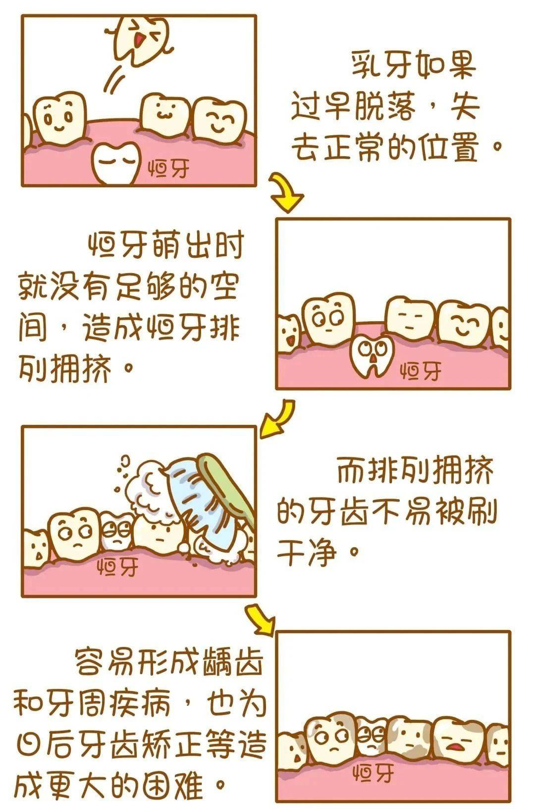 乳牙换恒牙,最早始于5岁_牙齿