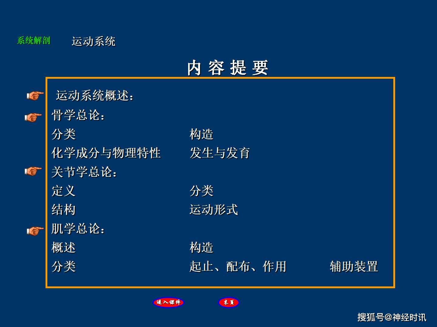运动系统总论完美课件知识分享