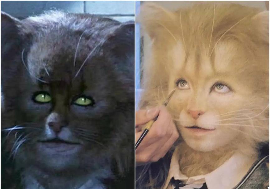 原创哈利波特替身演员分享幕后趣事赫敏变猫原来化的是特效妆
