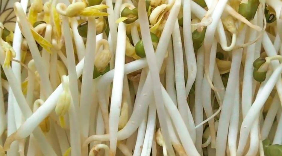 家庭自制绿豆芽,教你5个小秘诀,豆芽4天就能吃,安全又